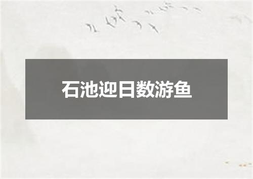石池迎日数游鱼