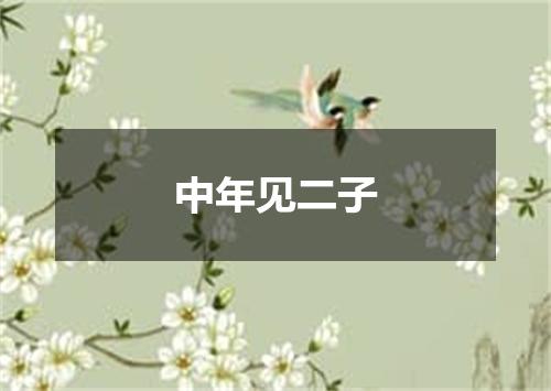 中年见二子