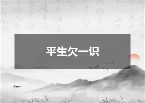 平生欠一识