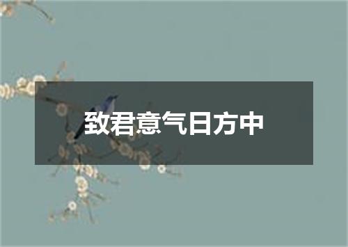 致君意气日方中