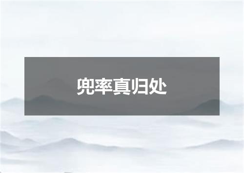 兜率真归处