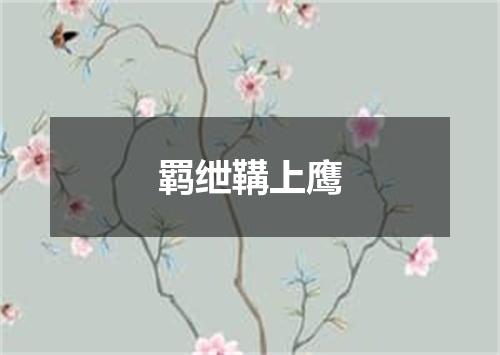 羁绁鞲上鹰