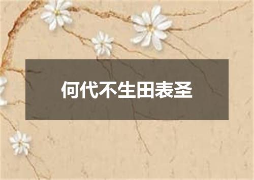 何代不生田表圣