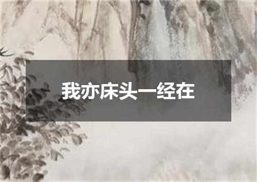 我亦床头一经在