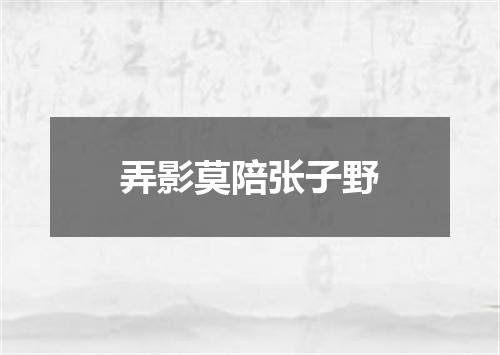 弄影莫陪张子野
