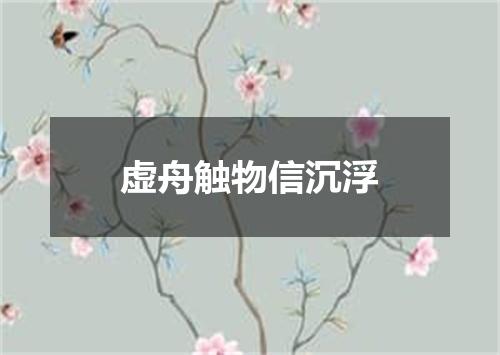 虚舟触物信沉浮