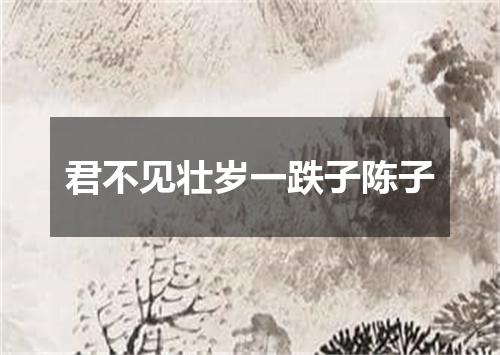 君不见壮岁一跌子陈子