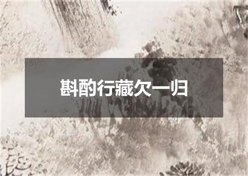 斟酌行藏欠一归