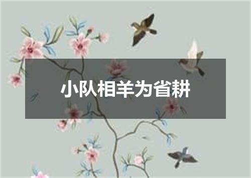 小队相羊为省耕