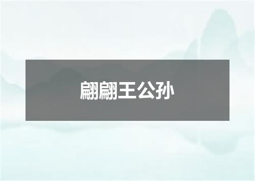 翩翩王公孙