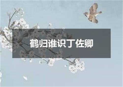 鹤归谁识丁佐卿