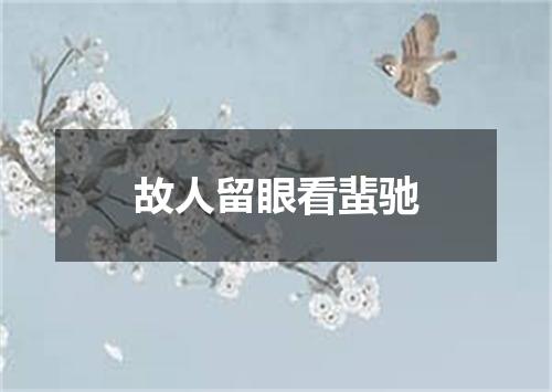 故人留眼看蜚驰