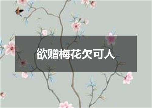 欲赠梅花欠可人