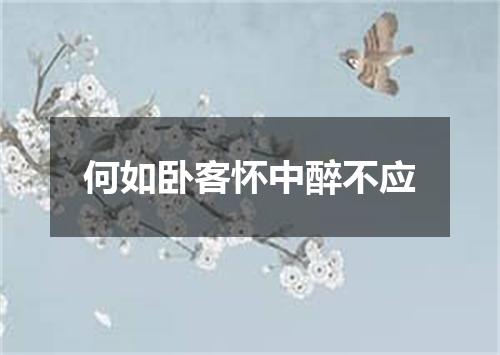 何如卧客怀中醉不应