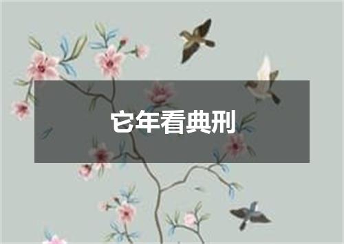 它年看典刑