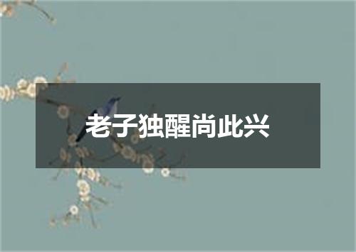 老子独醒尚此兴