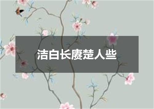 洁白长赓楚人些