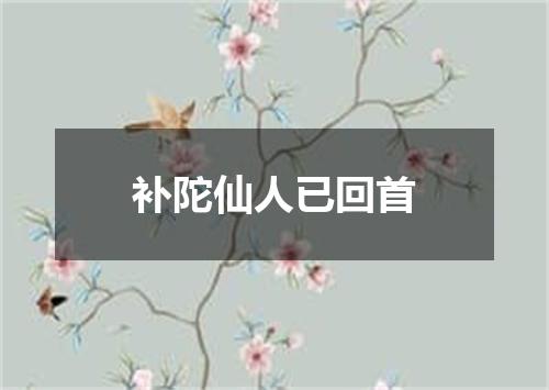 补陀仙人已回首
