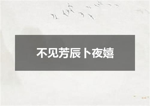 不见芳辰卜夜嬉
