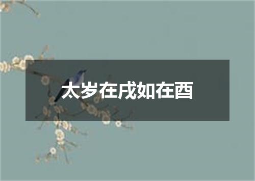 太岁在戌如在酉