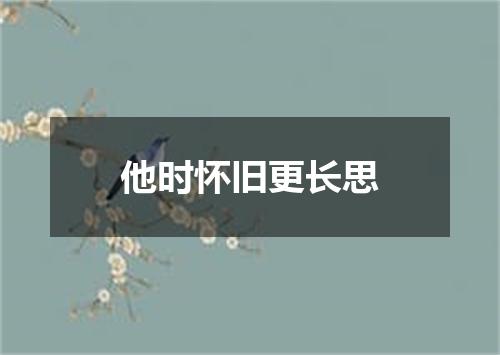 他时怀旧更长思