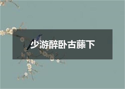 少游醉卧古藤下
