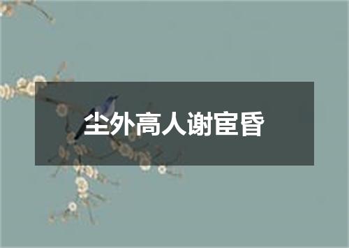 尘外高人谢宦昏