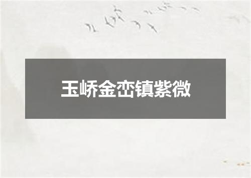 玉峤金峦镇紫微
