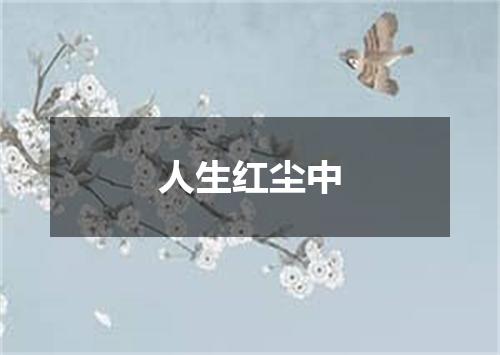 人生红尘中
