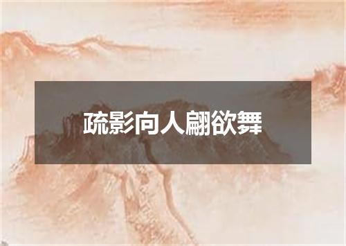 疏影向人翩欲舞