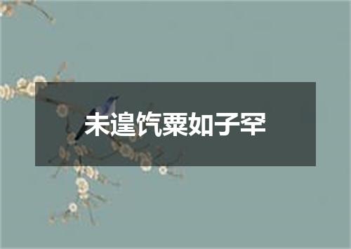 未遑饩粟如子罕