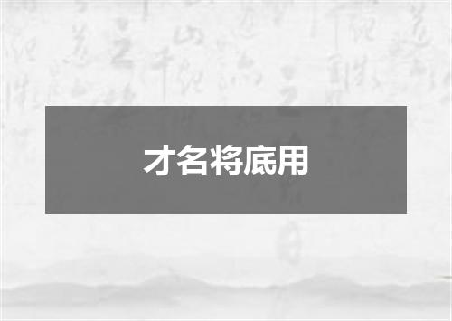 才名将底用