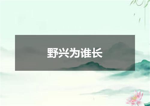 野兴为谁长