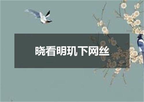 晓看明玑下网丝