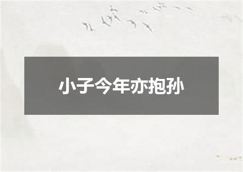 小子今年亦抱孙