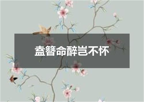 盍簪命醉岂不怀