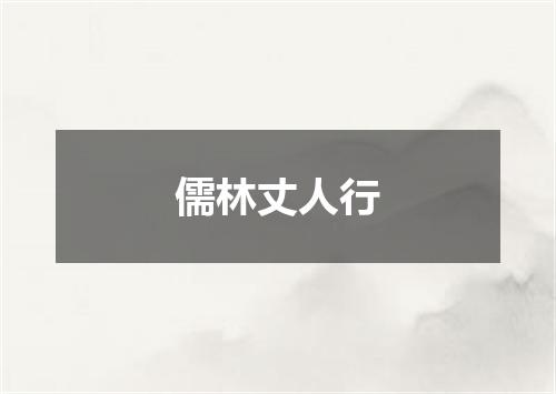 儒林丈人行