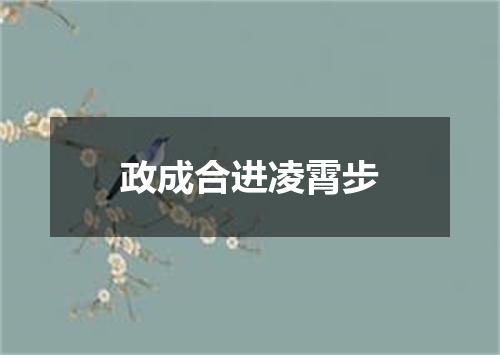 政成合进凌霄步