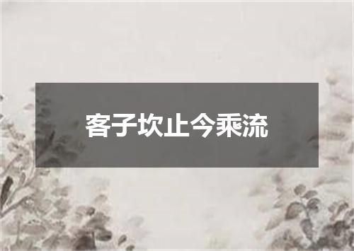 客子坎止今乘流