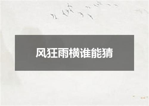 风狂雨横谁能猜