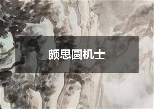 颇思圆机士