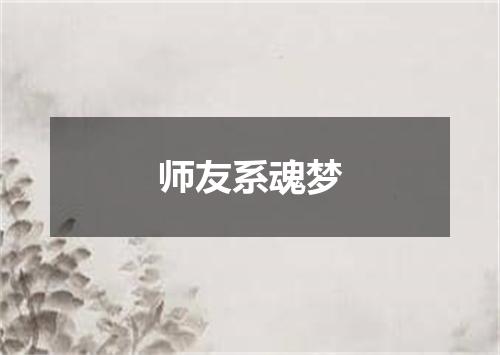 师友系魂梦