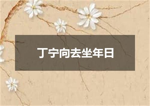 丁宁向去坐年日
