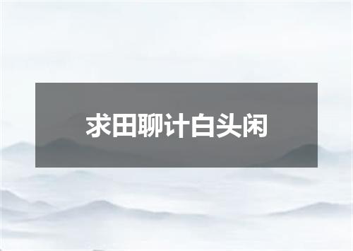 求田聊计白头闲