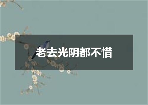 老去光阴都不惜