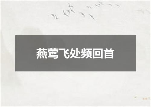 燕莺飞处频回首