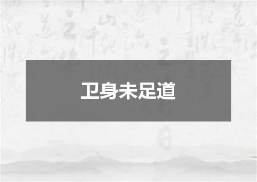 卫身未足道