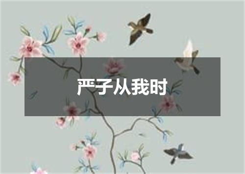 严子从我时