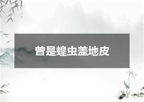 曾是蝗虫盖地皮