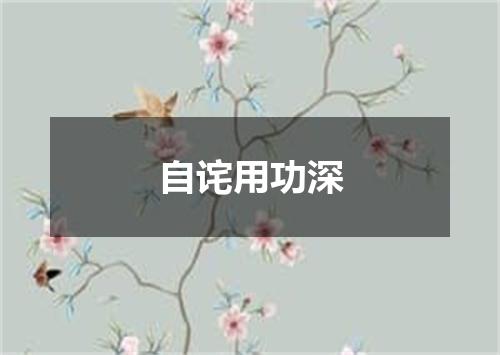 自诧用功深